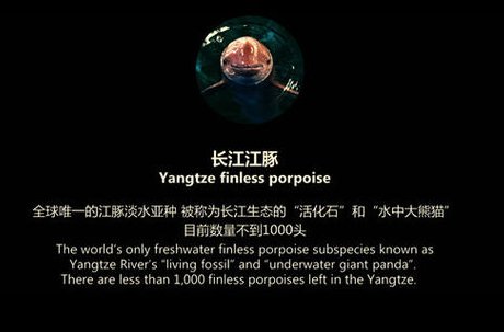 建议先扫读标题与摘要